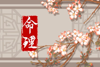算命取名,玄易起名,命免费起名字,男孩叶取名字